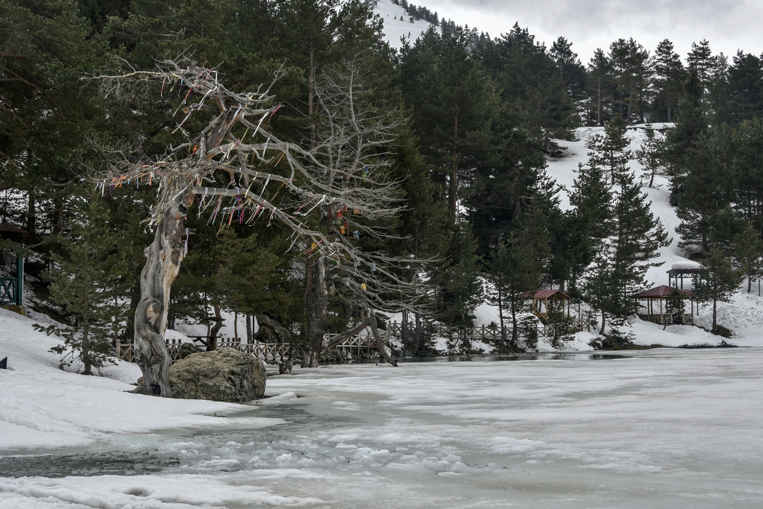 Limni gölünde sezon hızlı başladı 37