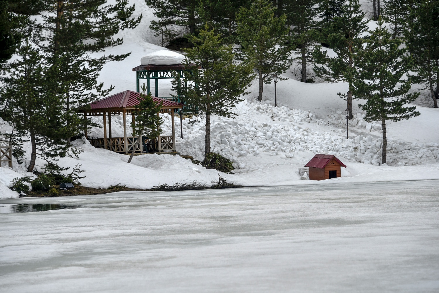 Limni gölünde sezon hızlı başladı 28