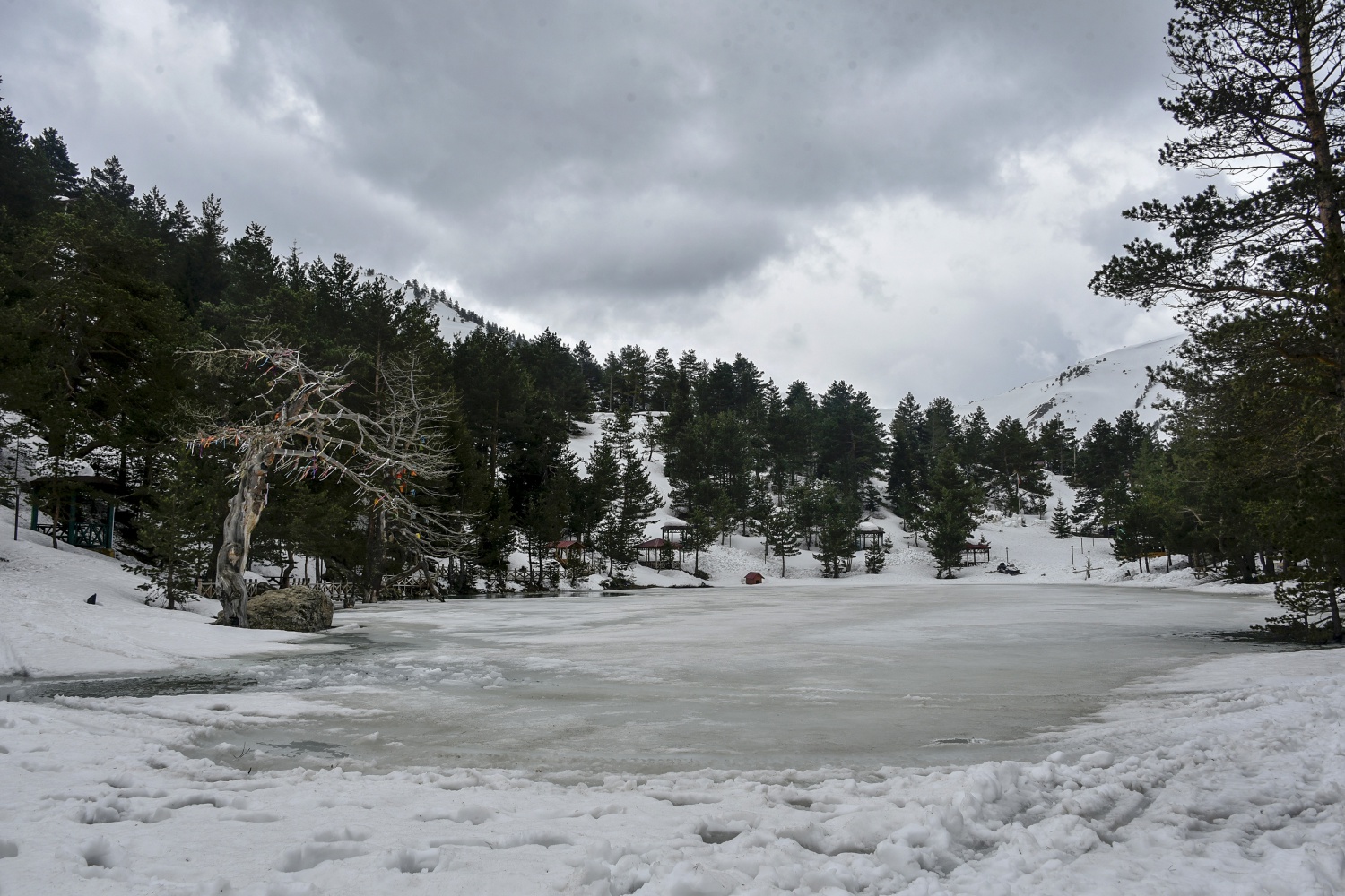 Limni gölünde sezon hızlı başladı 24
