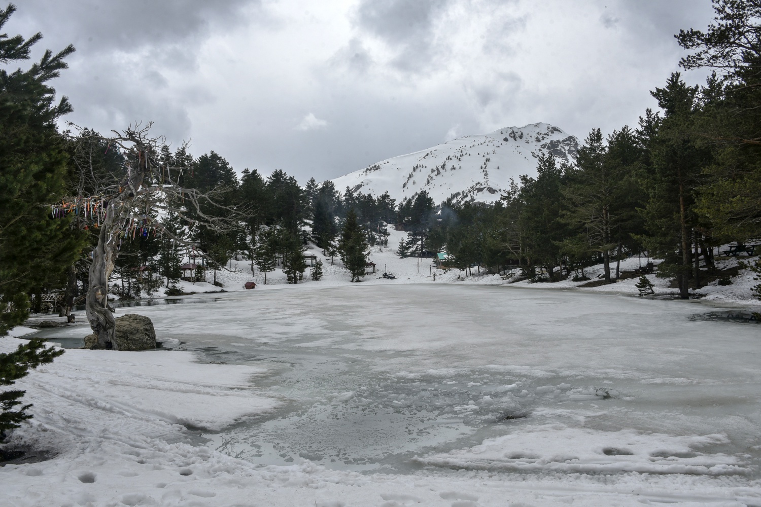 Limni gölünde sezon hızlı başladı 18