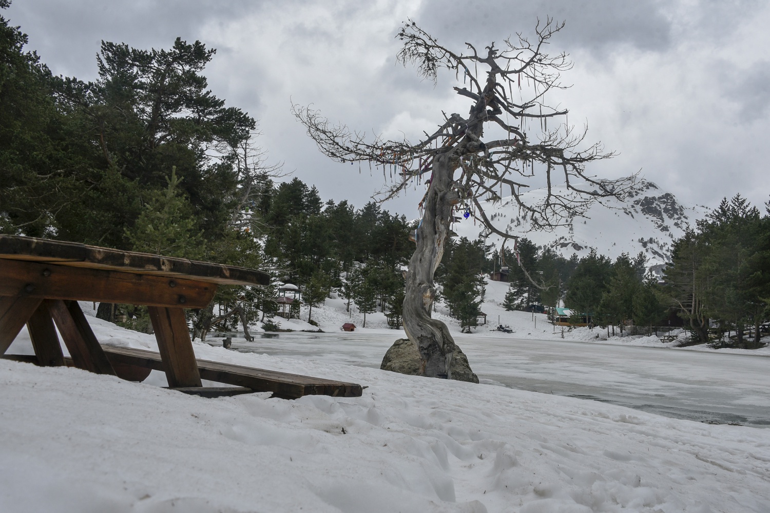 Limni gölünde sezon hızlı başladı 13