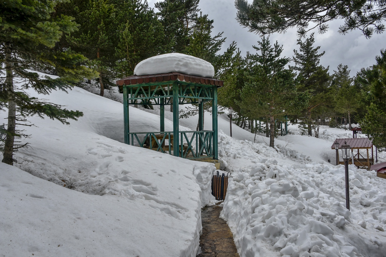 Limni gölünde sezon hızlı başladı 23