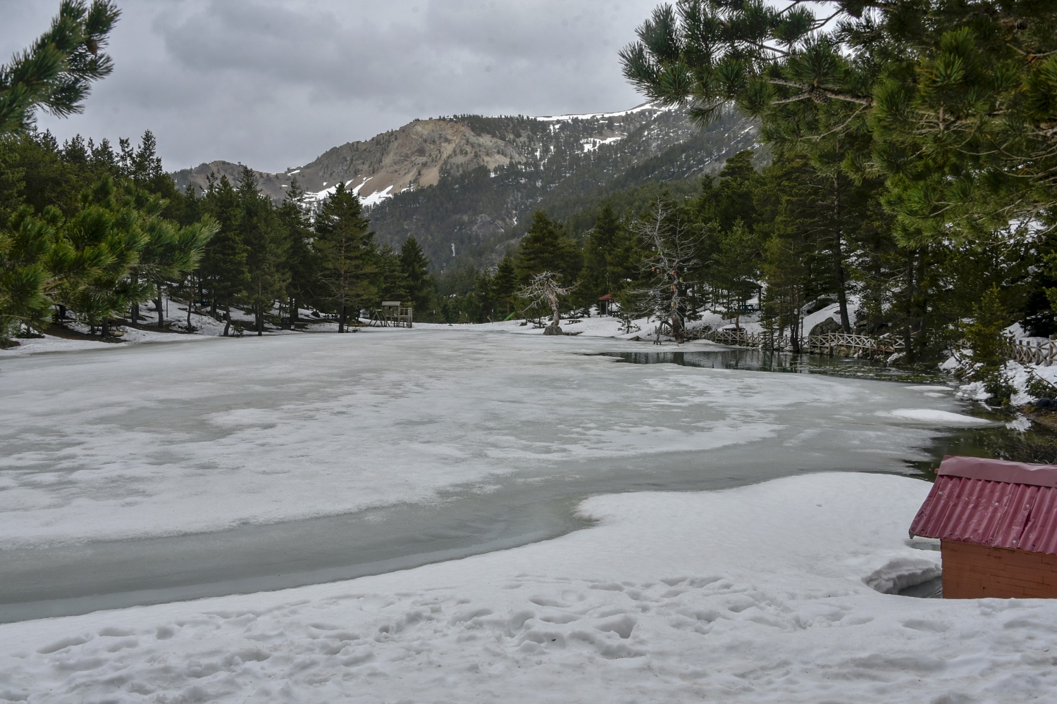 Limni gölünde sezon hızlı başladı 14