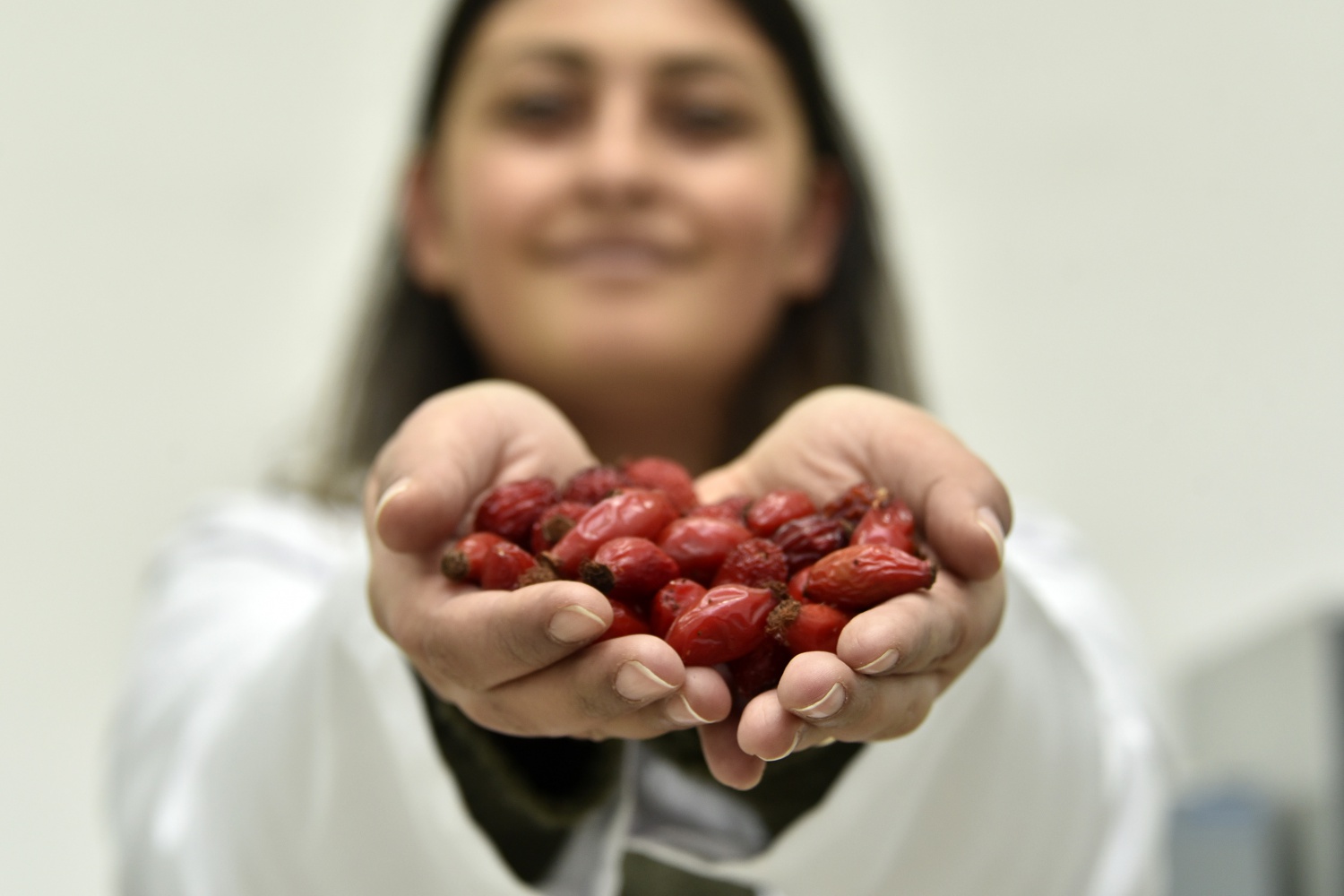 Soğuk algınlığının ve cildin koruyucu kalkanı: Kuşburnu 4