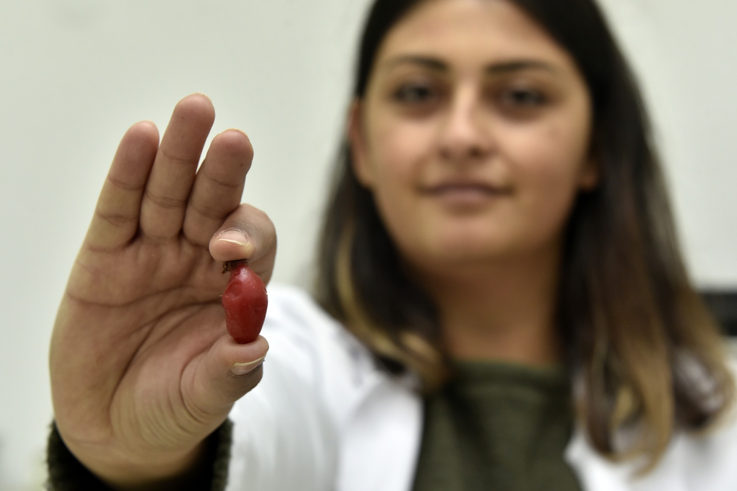 Soğuk algınlığının ve cildin koruyucu kalkanı: Kuşburnu 6