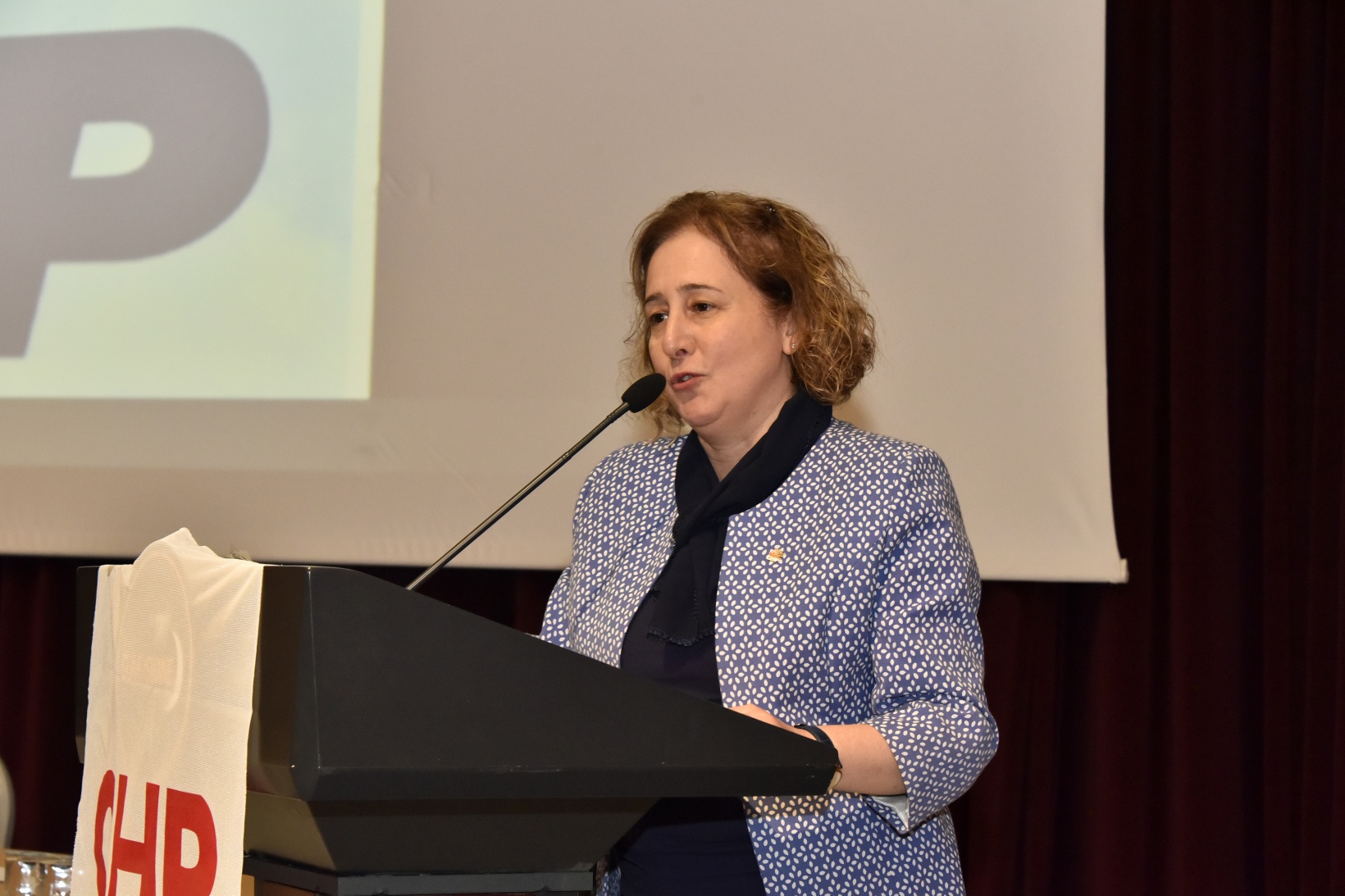 CHP Gümüşhane il kongresi yapıldı 19