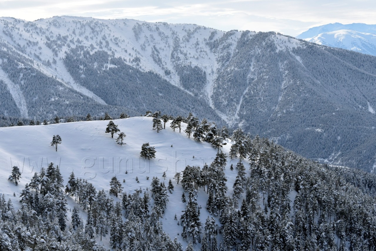 Zigana’da kayak sezonu başladı 31