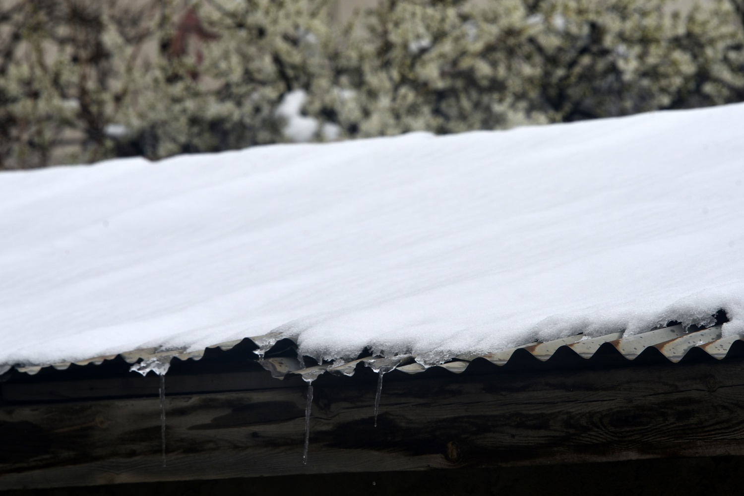 Gümüşhane 21 Nisan'da beyaza büründü 5