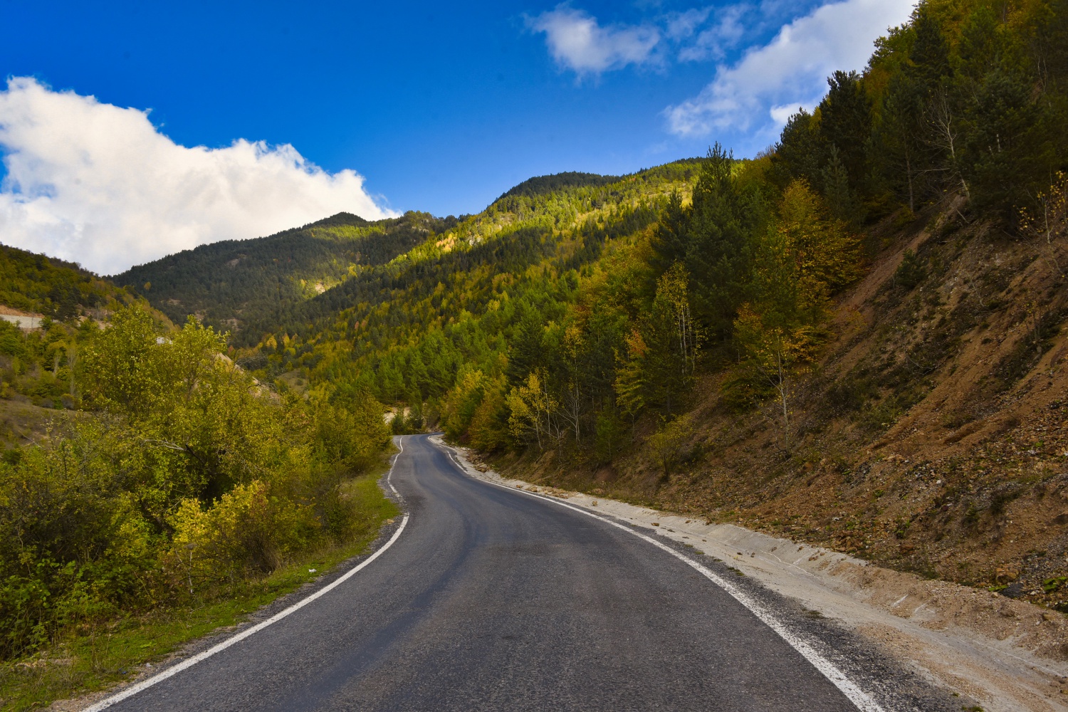 Zigana'da renk cümbüşü 4