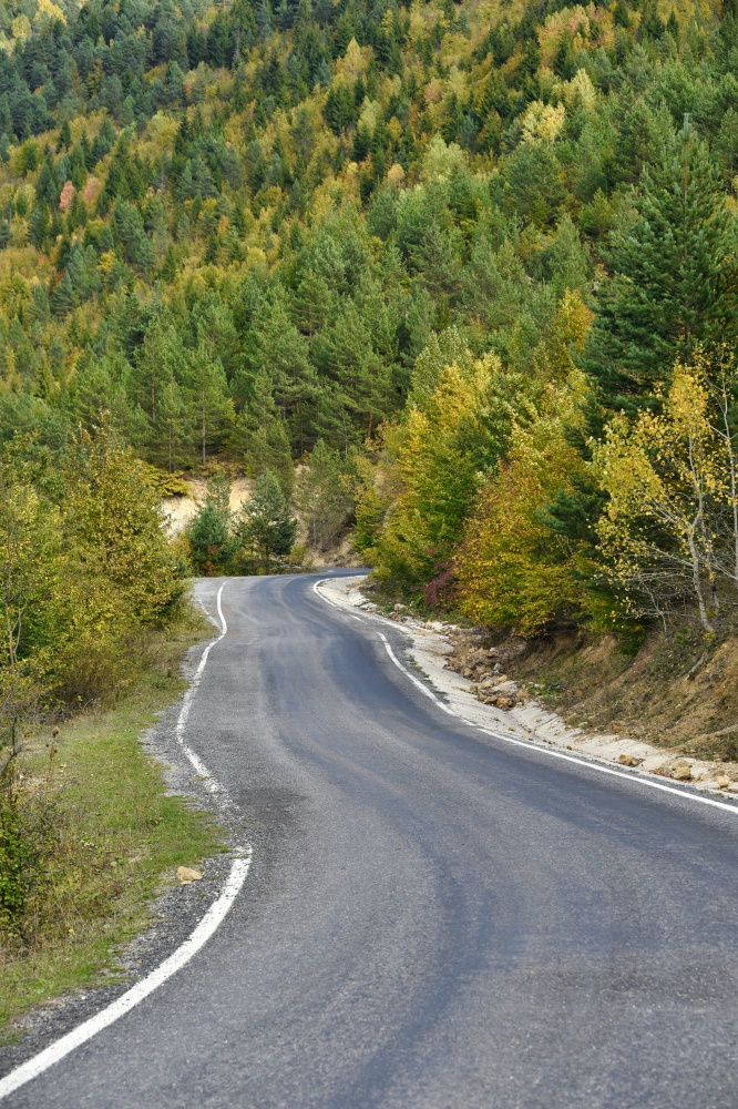 Zigana'da renk cümbüşü 2
