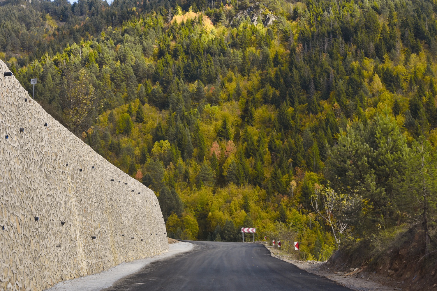 Zigana'da renk cümbüşü 18