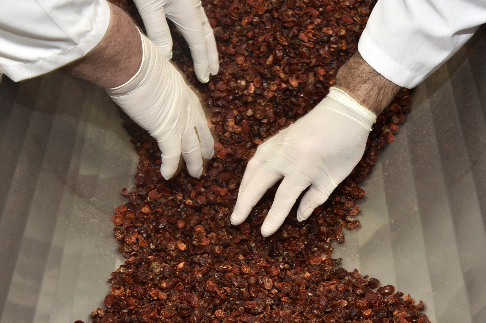 Bir yıl boyunca defalarca denenerek üretildi 18