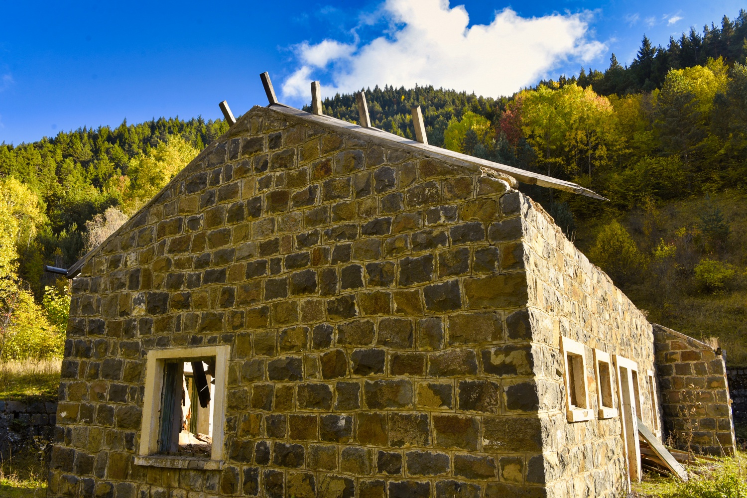 Zigana'da renk cümbüşü 15