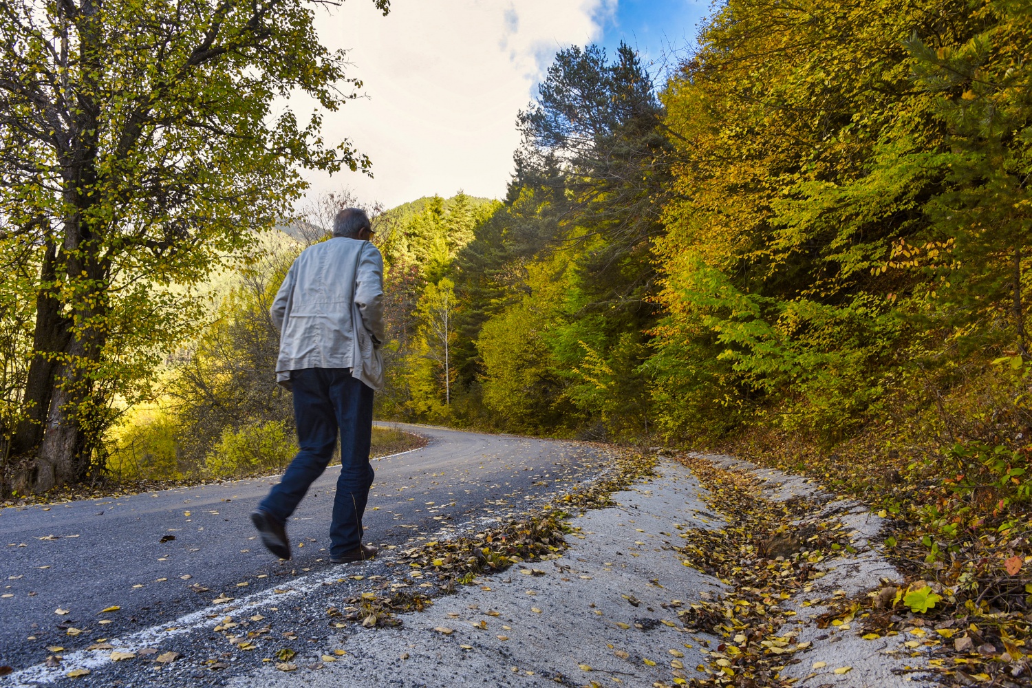 Zigana'da renk cümbüşü 3
