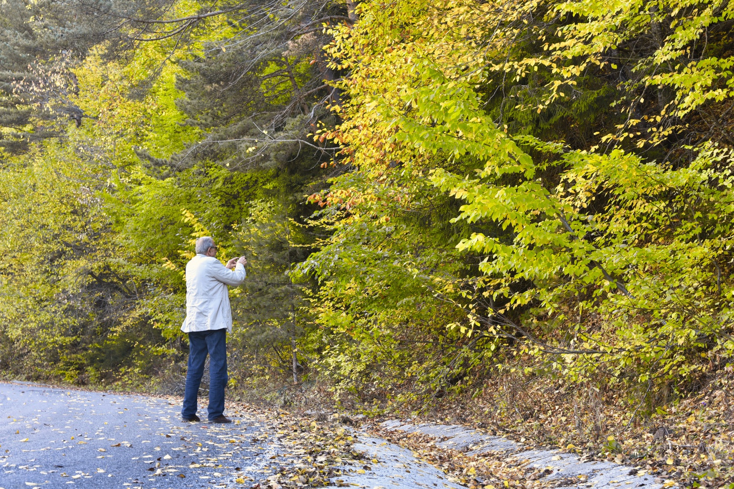 Zigana'da renk cümbüşü 16