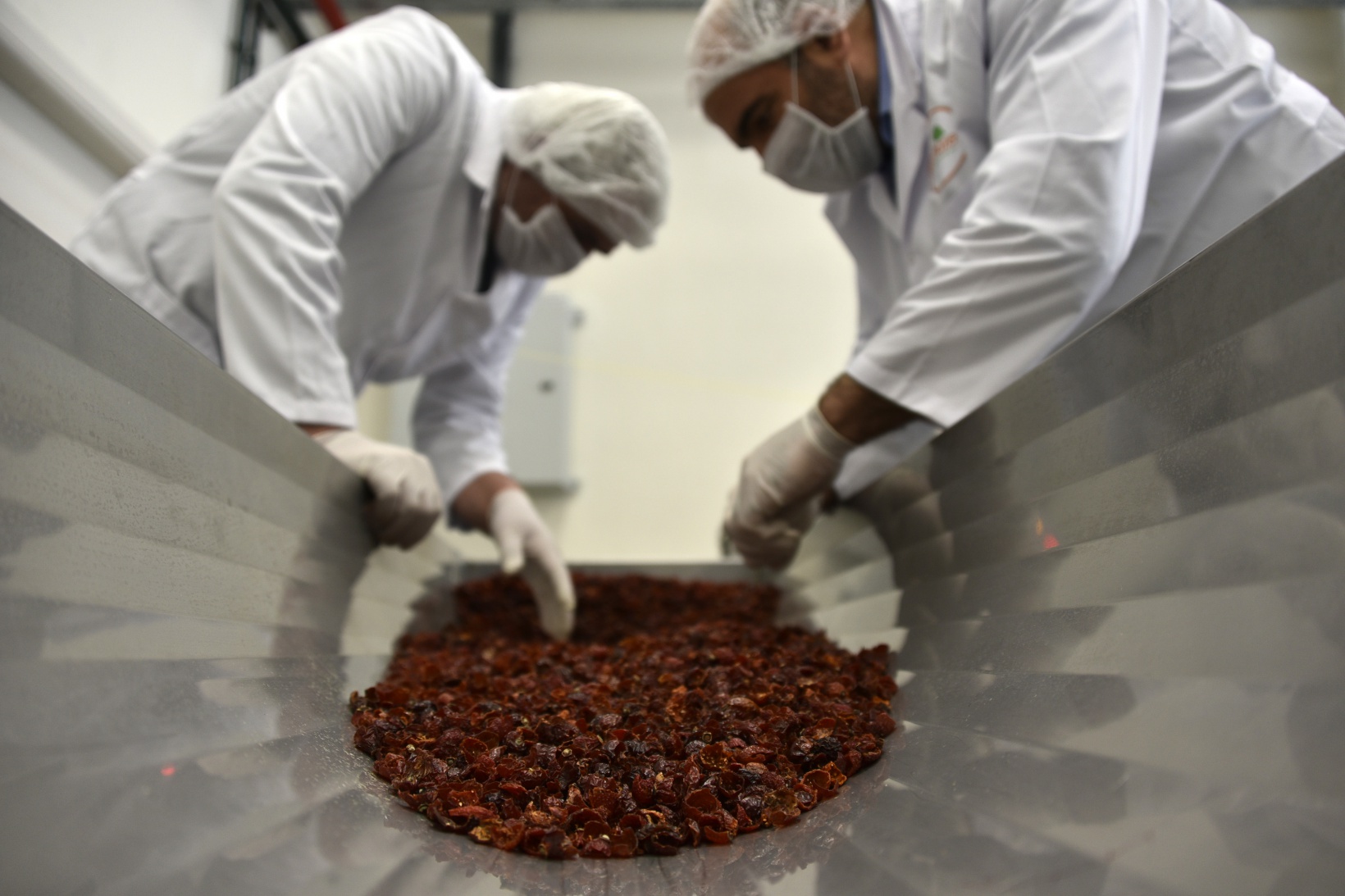 Bir yıl boyunca defalarca denenerek üretildi 10