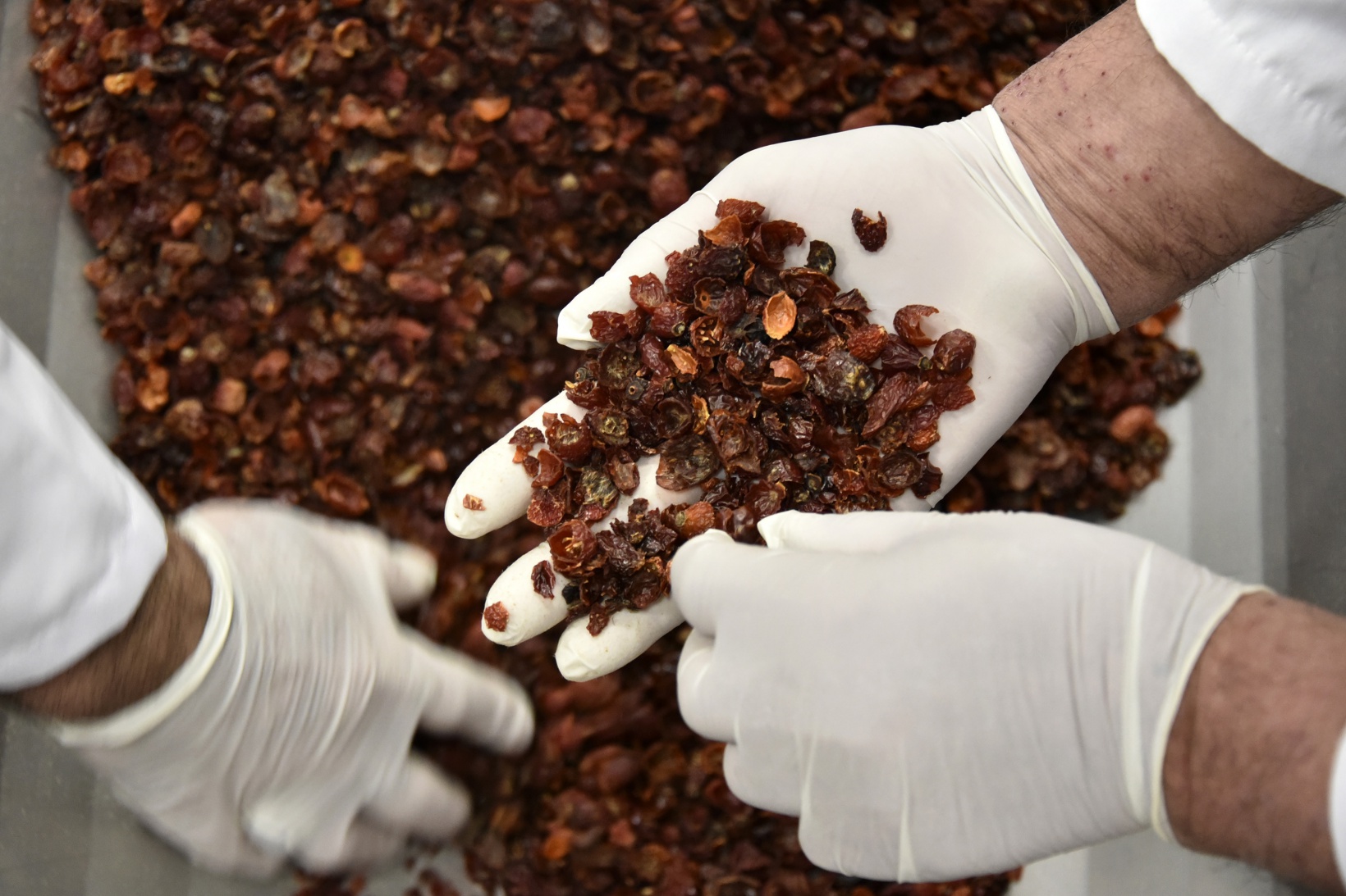 Bir yıl boyunca defalarca denenerek üretildi 11