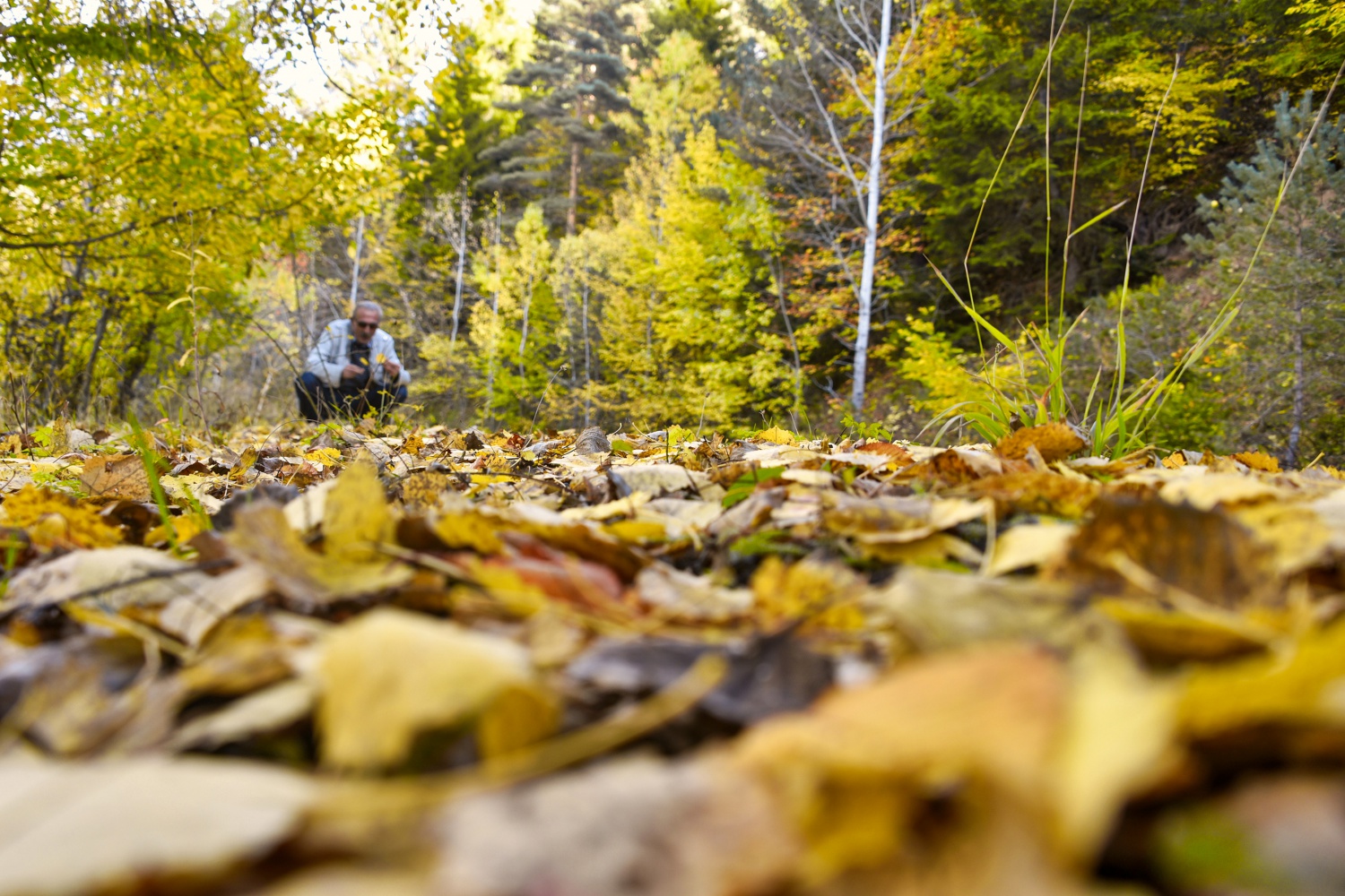 Zigana'da renk cümbüşü 19