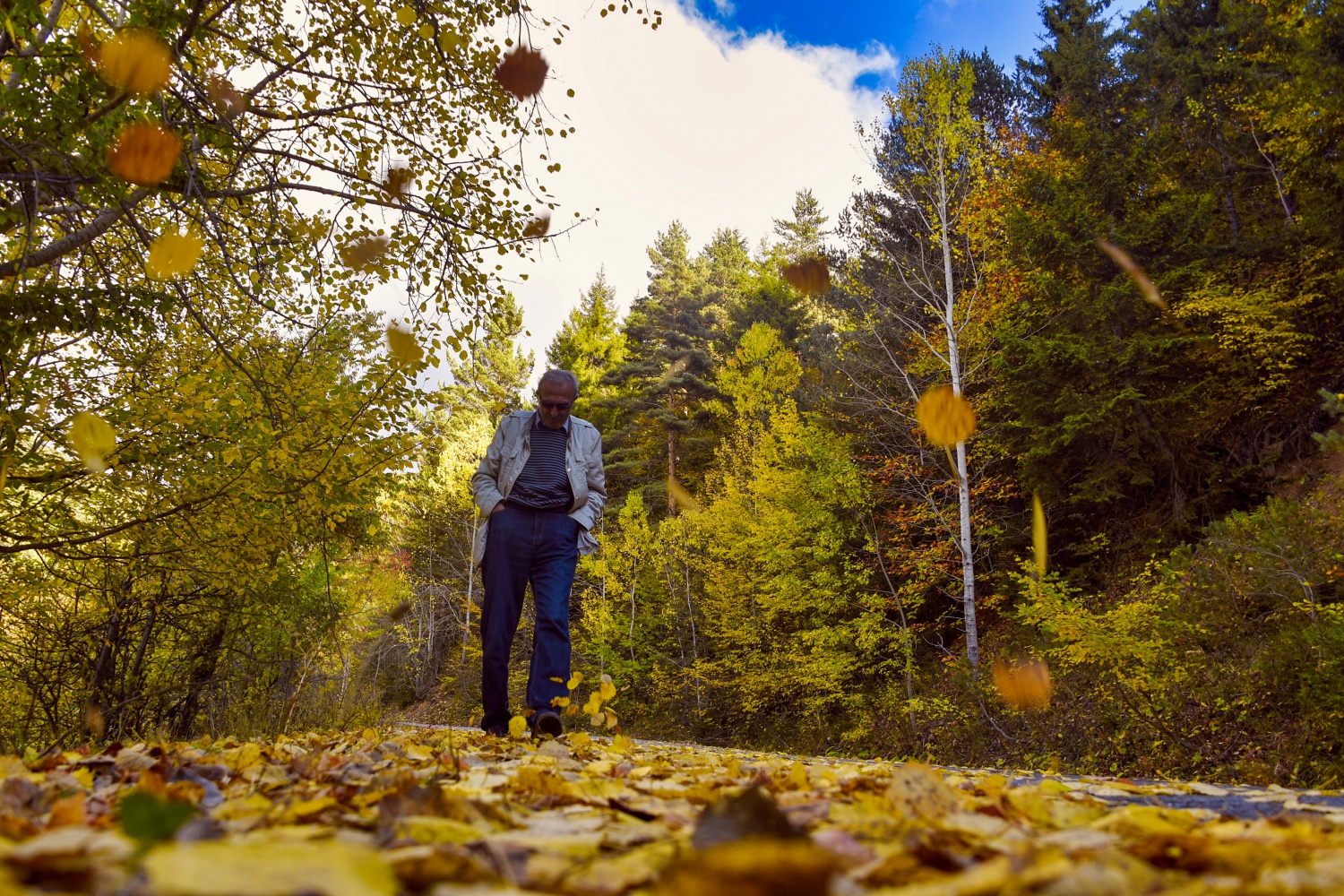 Zigana'da renk cümbüşü 7