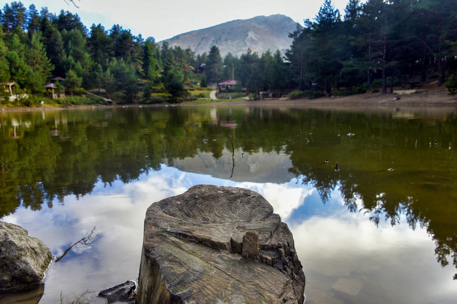 Limni Gölünde sonbahar yoğunluğu 2