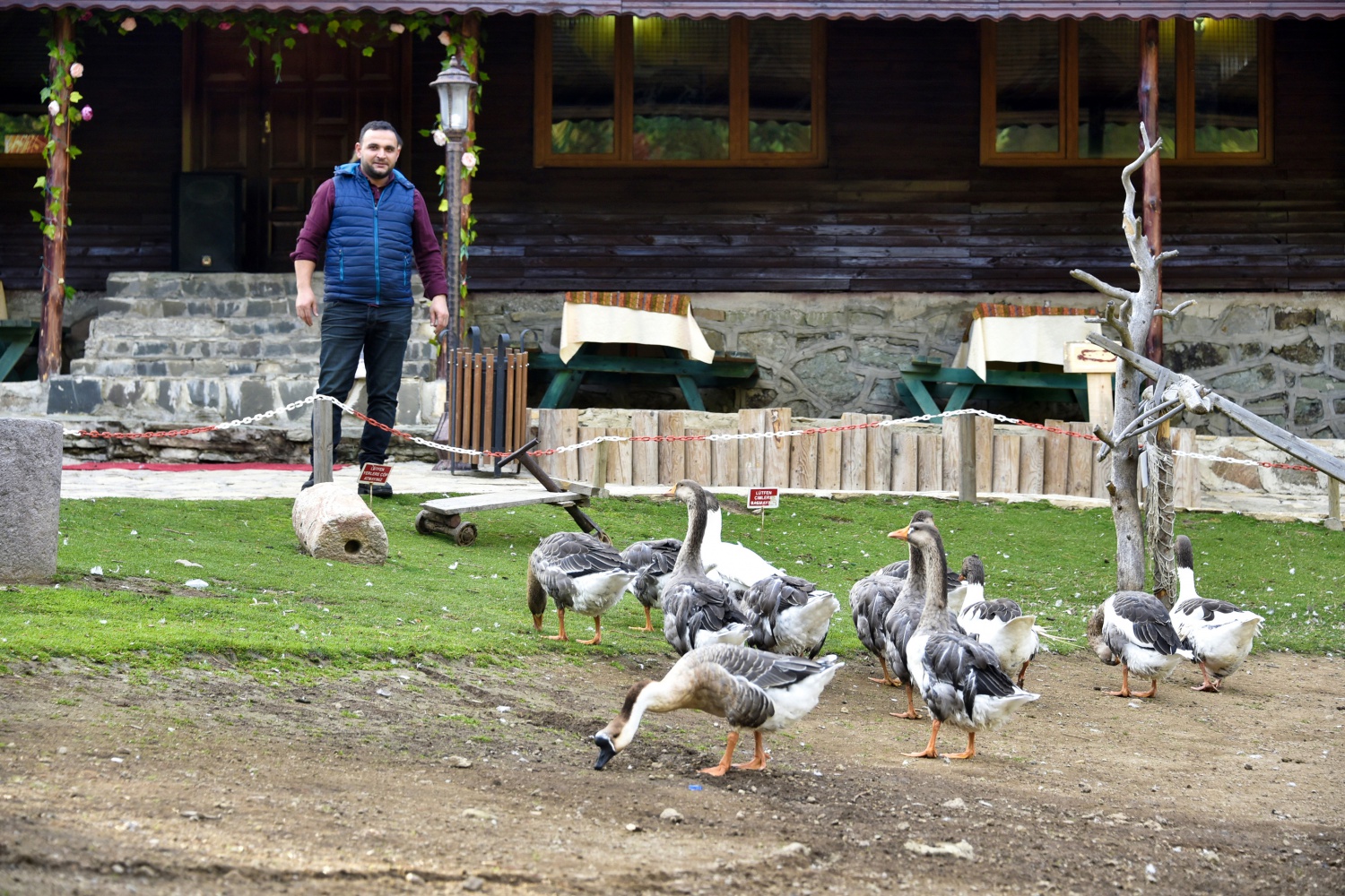Limni Gölünde sonbahar yoğunluğu 7