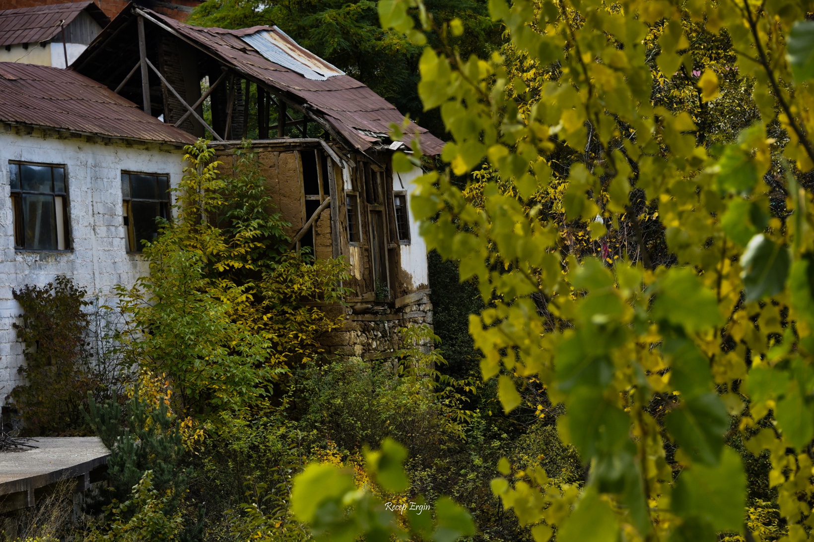 Zigana dağında renk cümbüşü 5