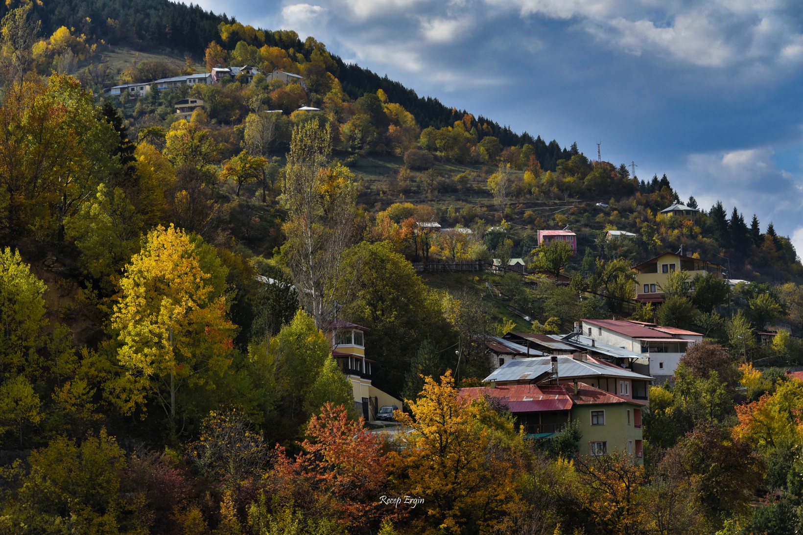 Zigana dağında renk cümbüşü 9