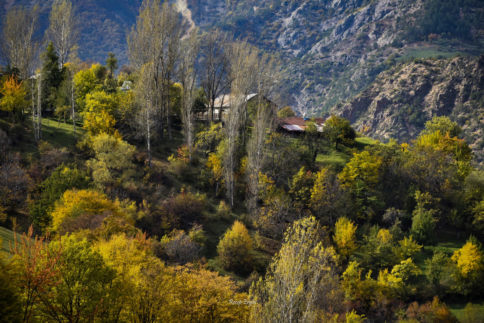 Zigana dağında renk cümbüşü 11