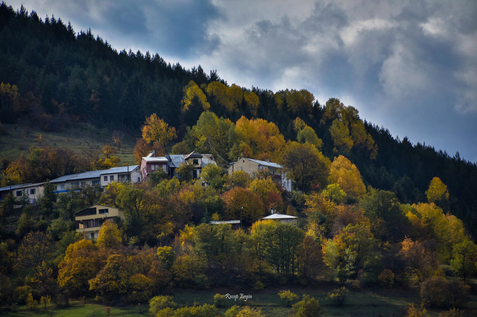 Zigana dağında renk cümbüşü 3