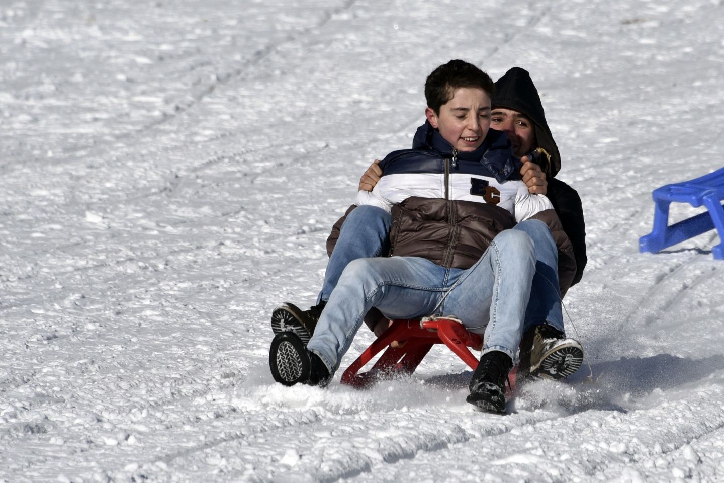 Zigana’da kızak keyfine Gümüşhane protokolü de ortak oldu 21