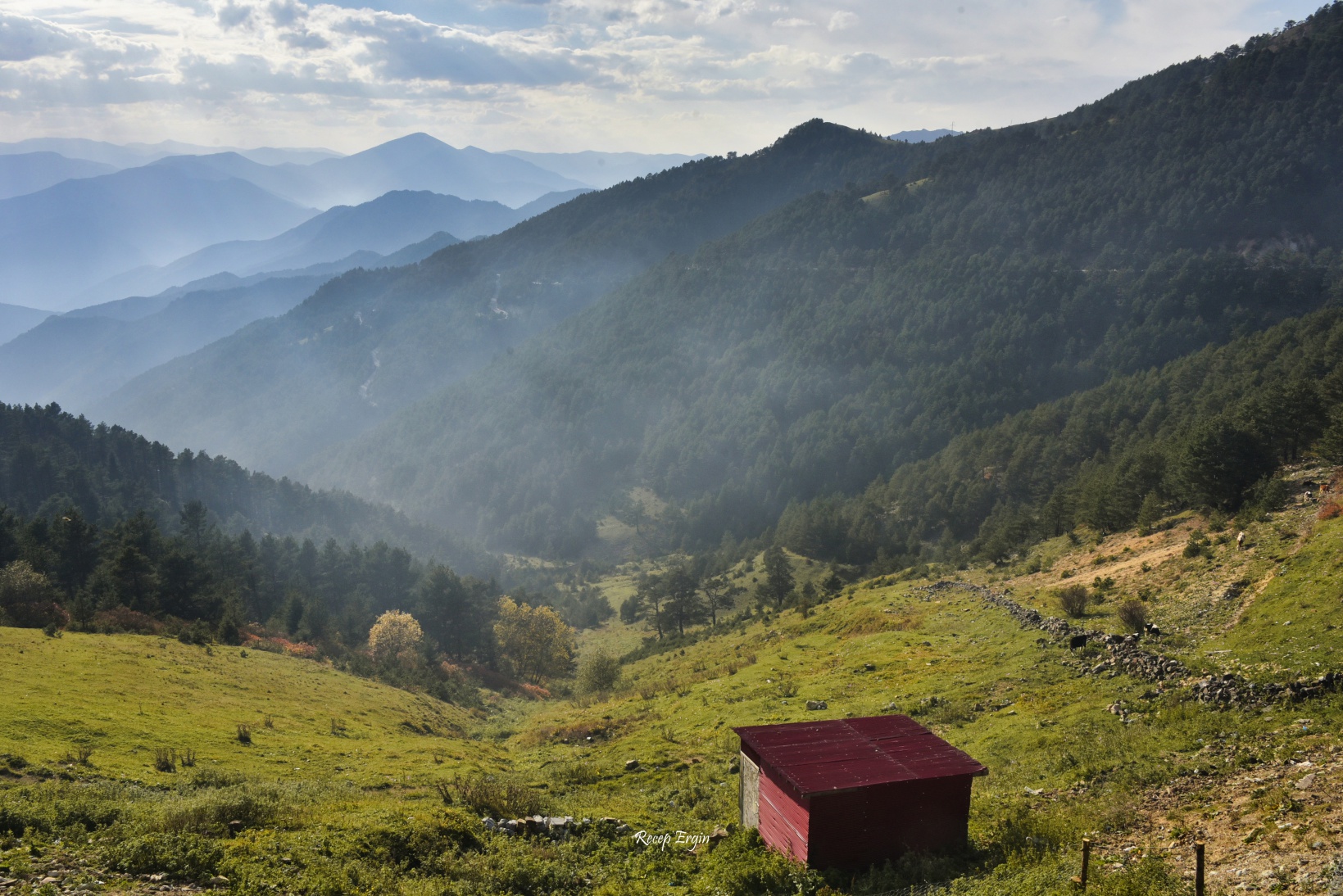 Zigana dağında renk cümbüşü 12