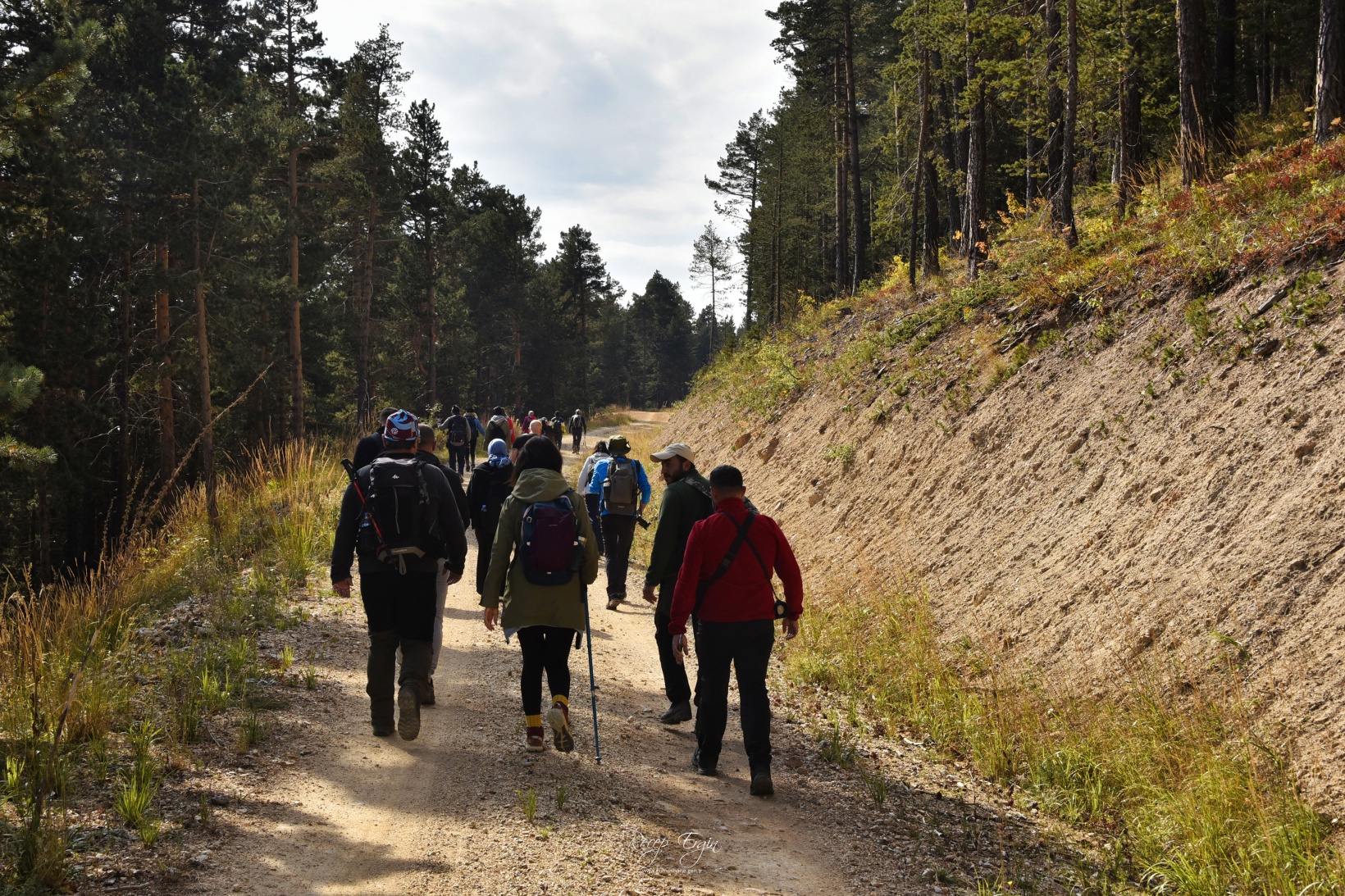 Sonbaharın büyüleyici renkleri Gümüşhane'yi sardı 81