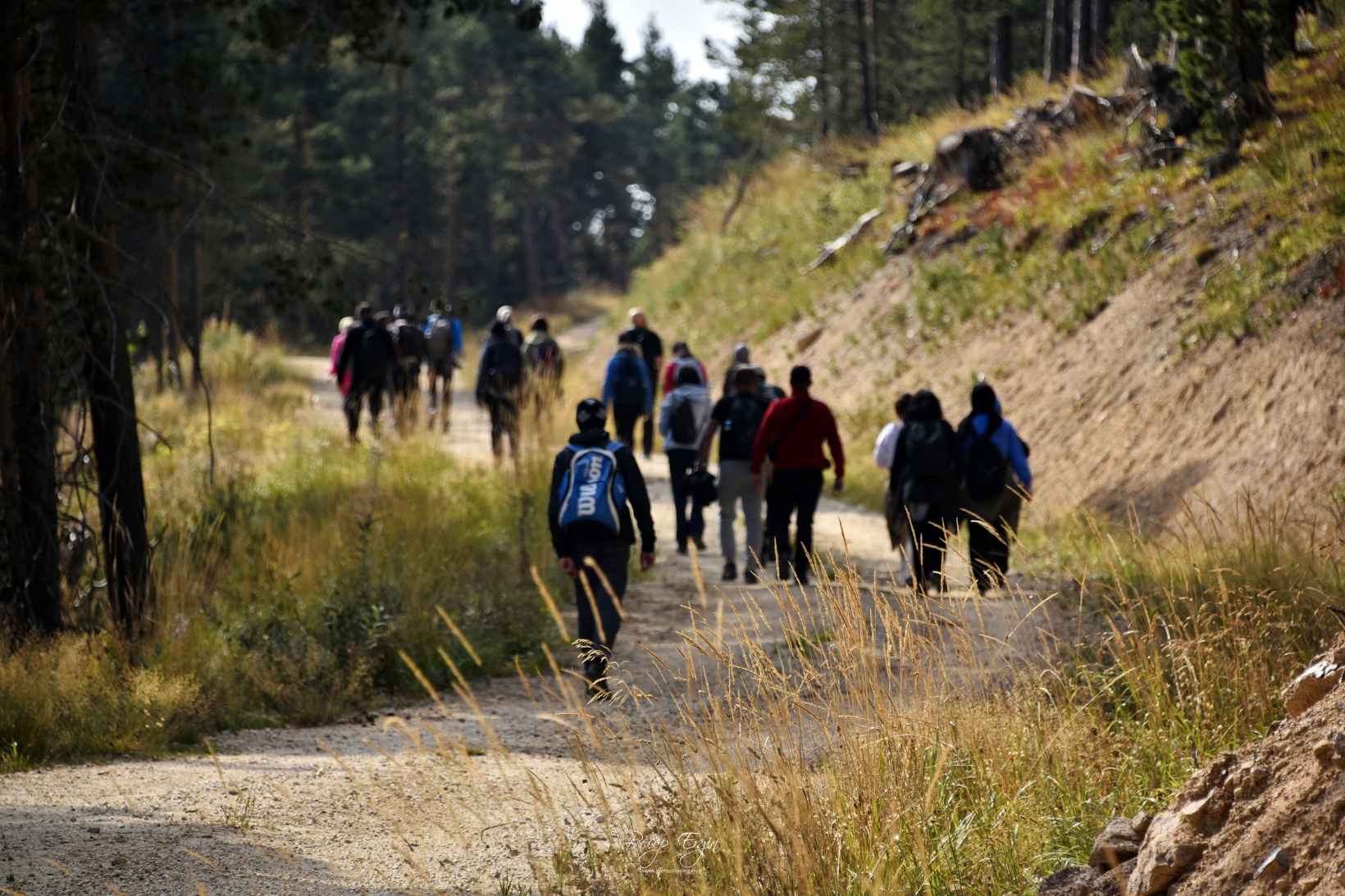 Sonbaharın büyüleyici renkleri Gümüşhane'yi sardı 15