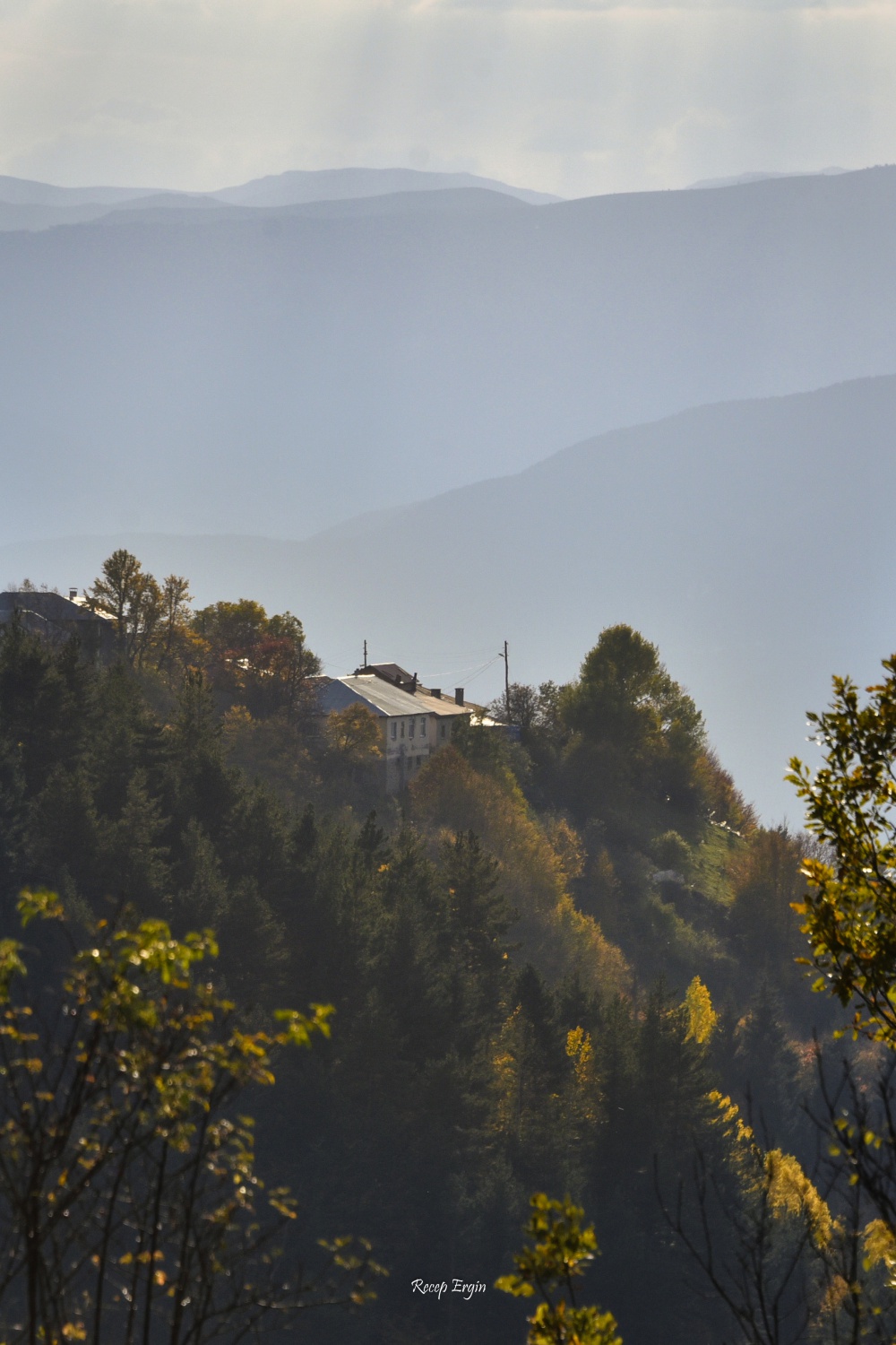 Zigana dağında renk cümbüşü 6
