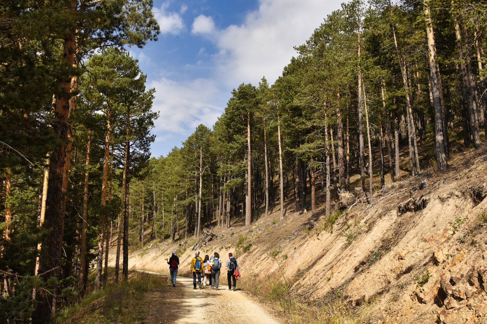 Sonbaharın büyüleyici renkleri Gümüşhane'yi sardı 78