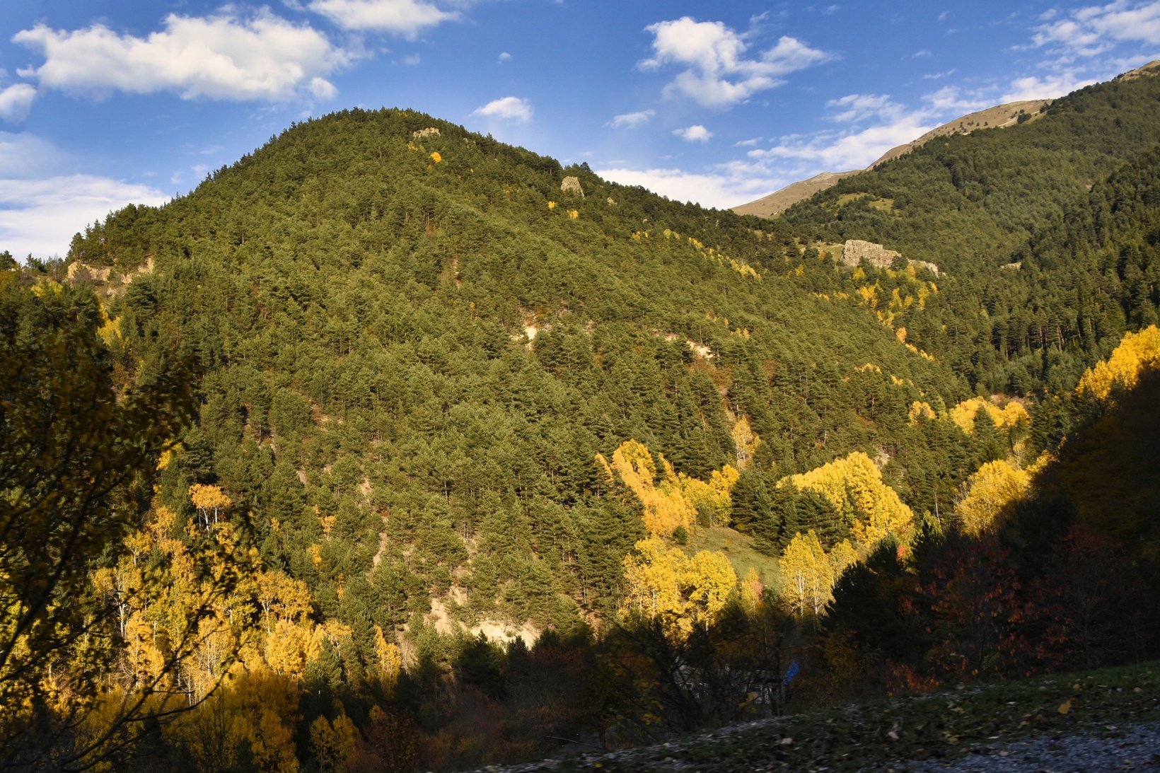 Zigana dağında renk cümbüşü 8