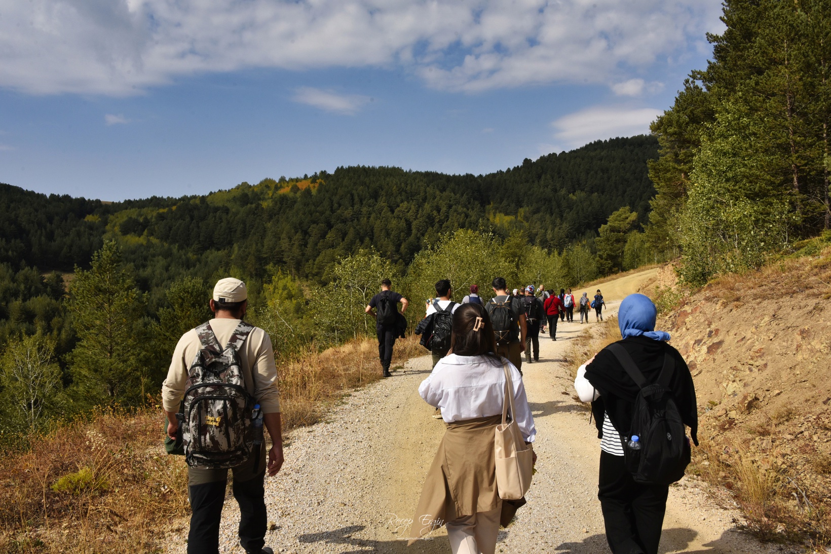 Sonbaharın büyüleyici renkleri Gümüşhane'yi sardı 35