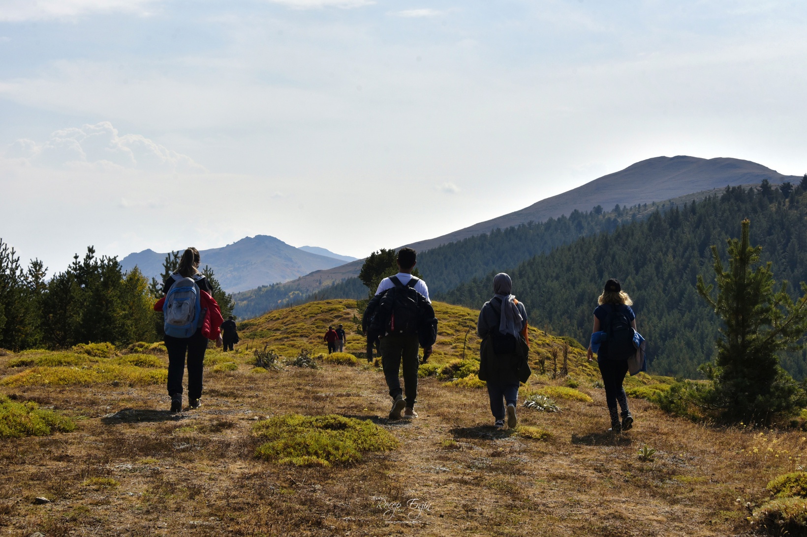 Sonbaharın büyüleyici renkleri Gümüşhane'yi sardı 29