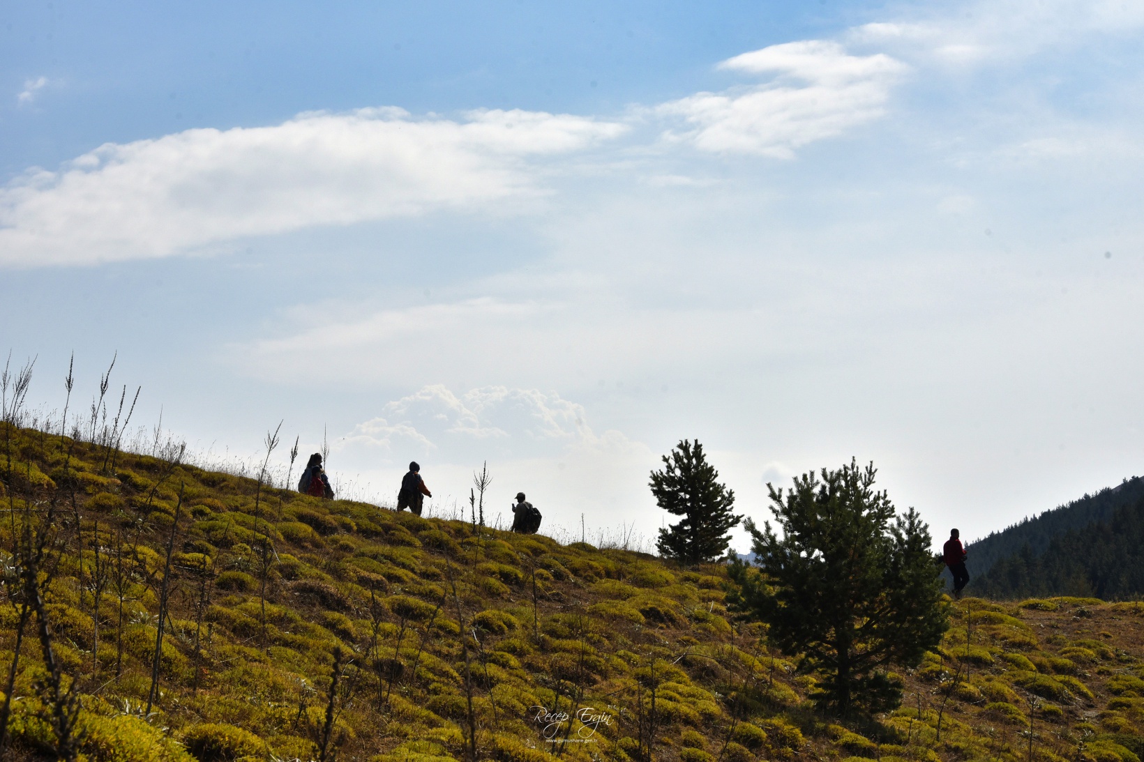 Sonbaharın büyüleyici renkleri Gümüşhane'yi sardı 20