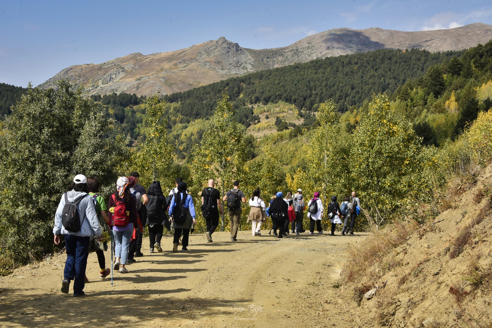 Sonbaharın büyüleyici renkleri Gümüşhane'yi sardı 53