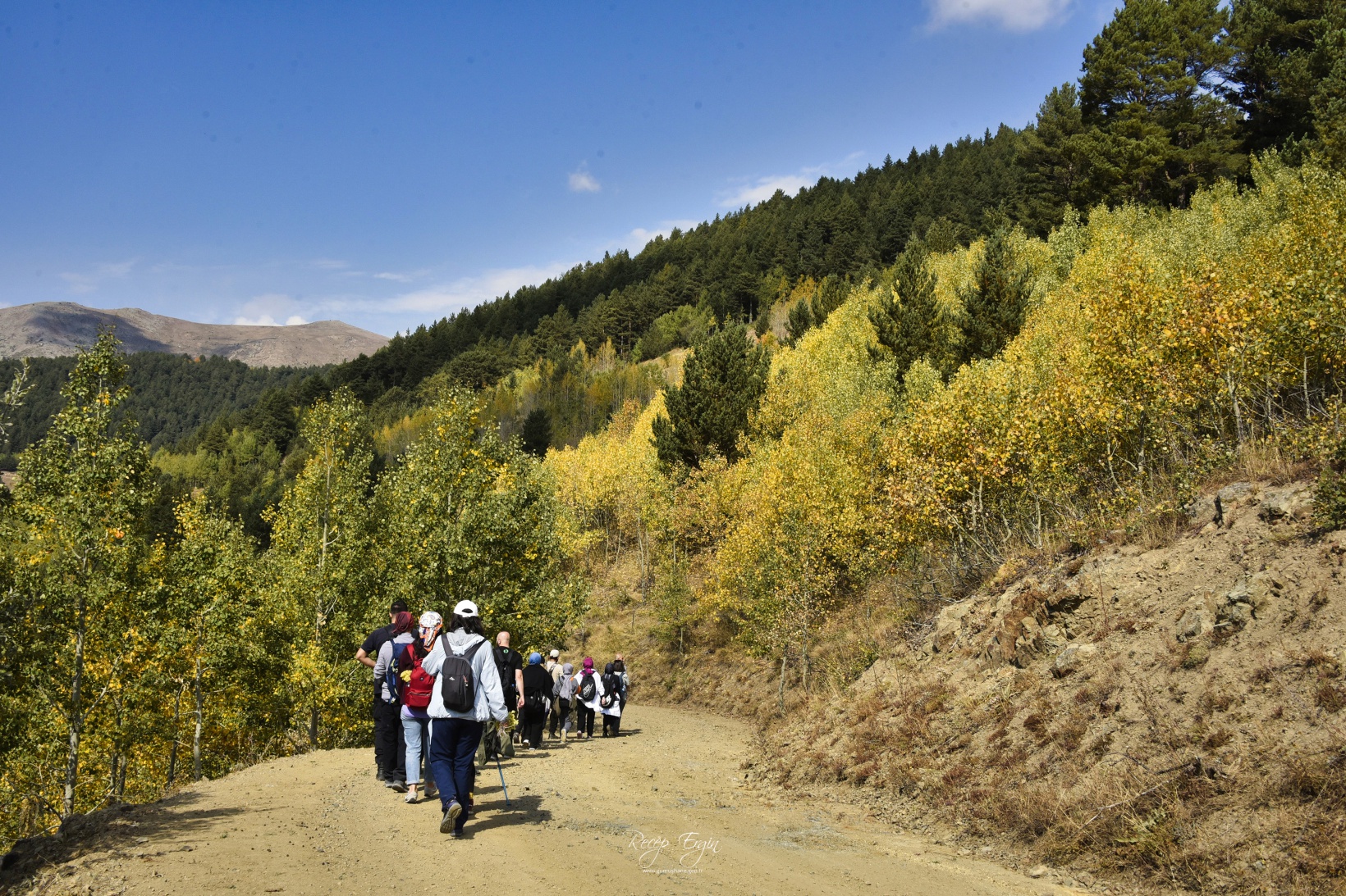 Sonbaharın büyüleyici renkleri Gümüşhane'yi sardı 60