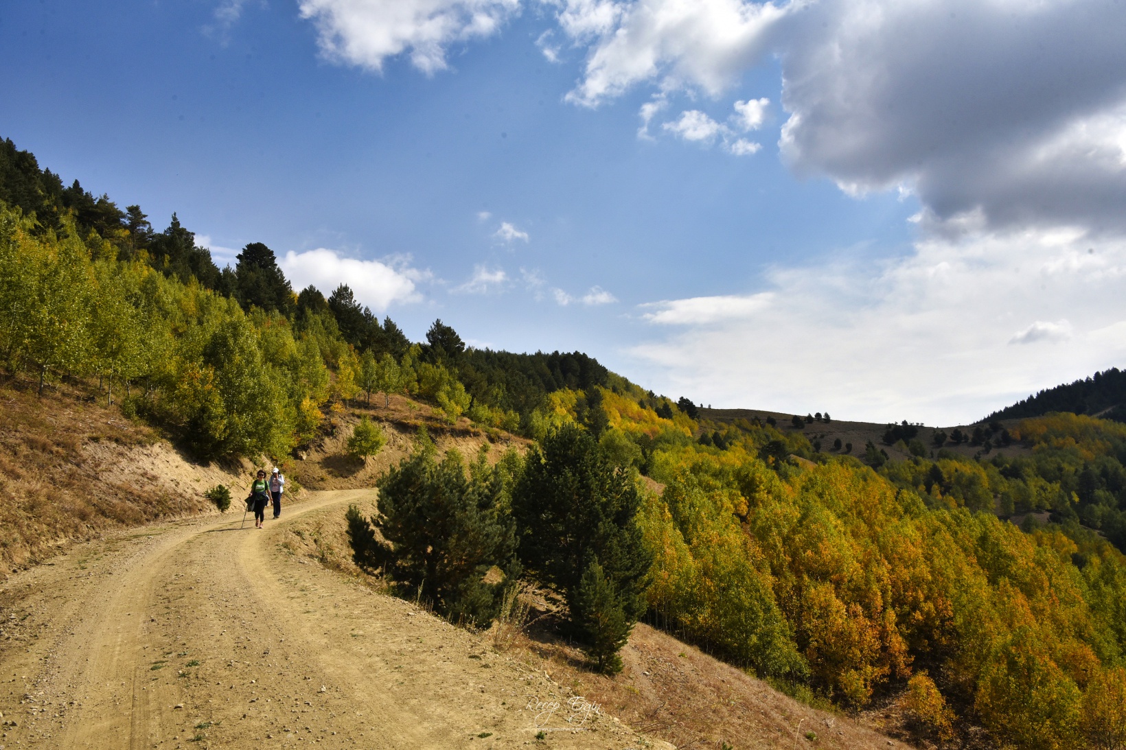 Sonbaharın büyüleyici renkleri Gümüşhane'yi sardı 64