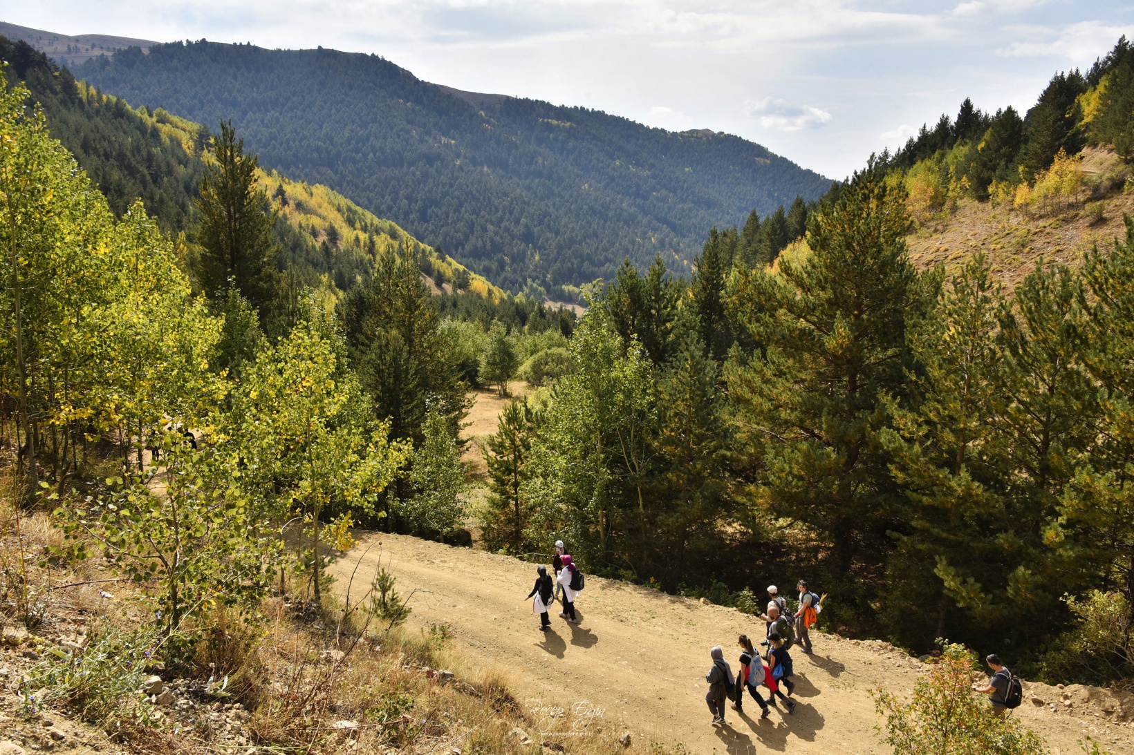 Sonbaharın büyüleyici renkleri Gümüşhane'yi sardı 50