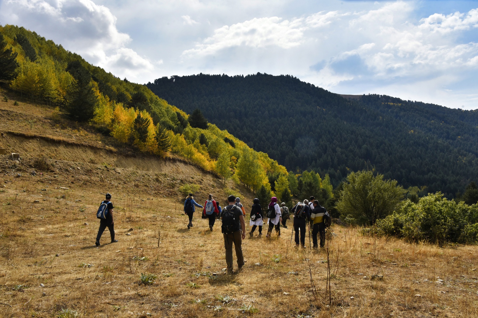 Sonbaharın büyüleyici renkleri Gümüşhane'yi sardı 37