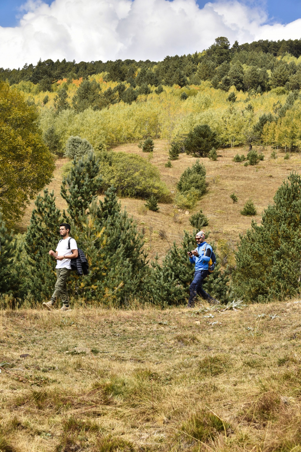 Sonbaharın büyüleyici renkleri Gümüşhane'yi sardı 55