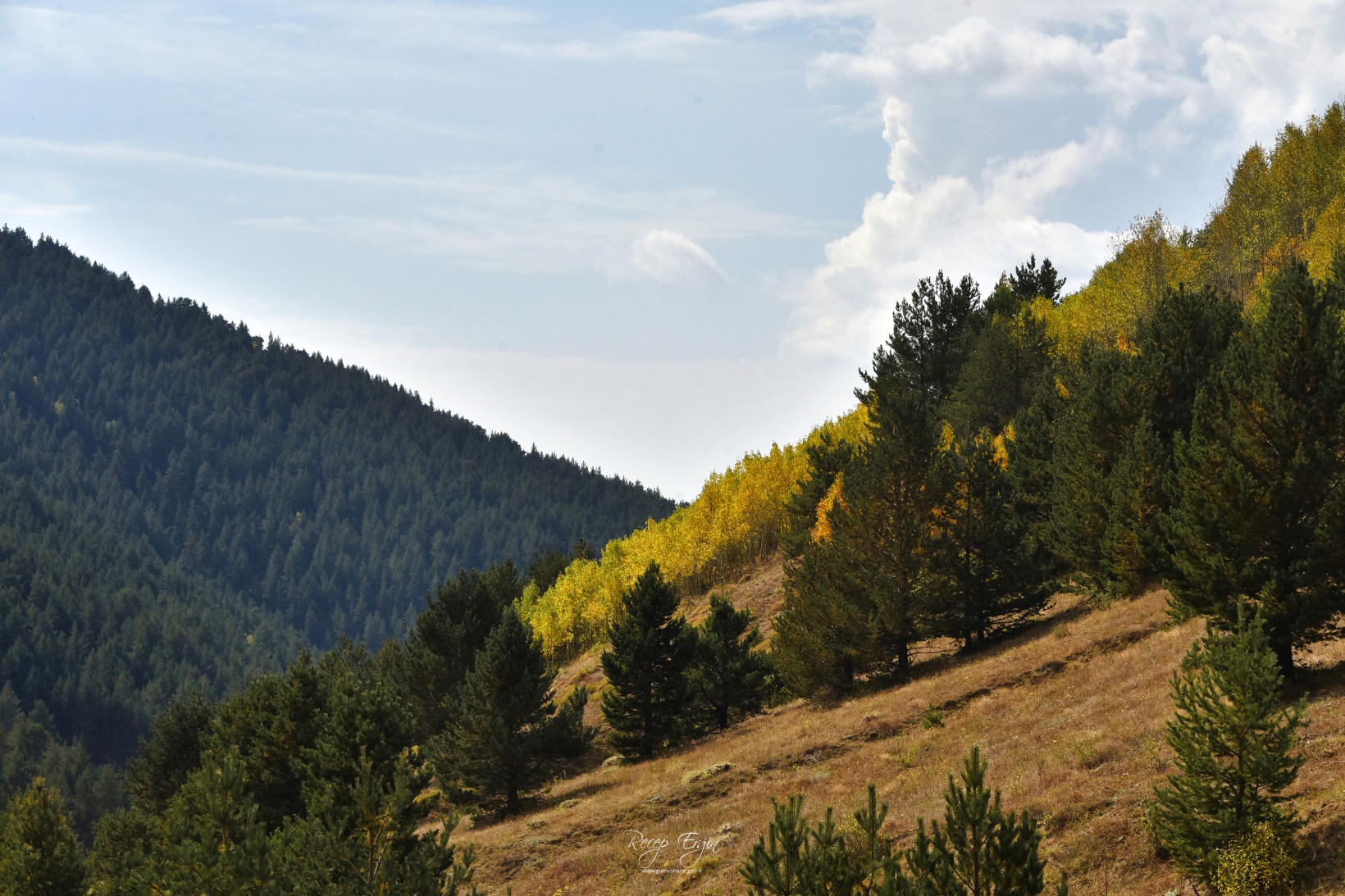 Sonbaharın büyüleyici renkleri Gümüşhane'yi sardı 22