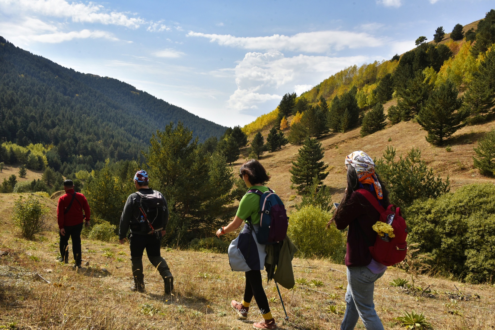 Sonbaharın büyüleyici renkleri Gümüşhane'yi sardı 54