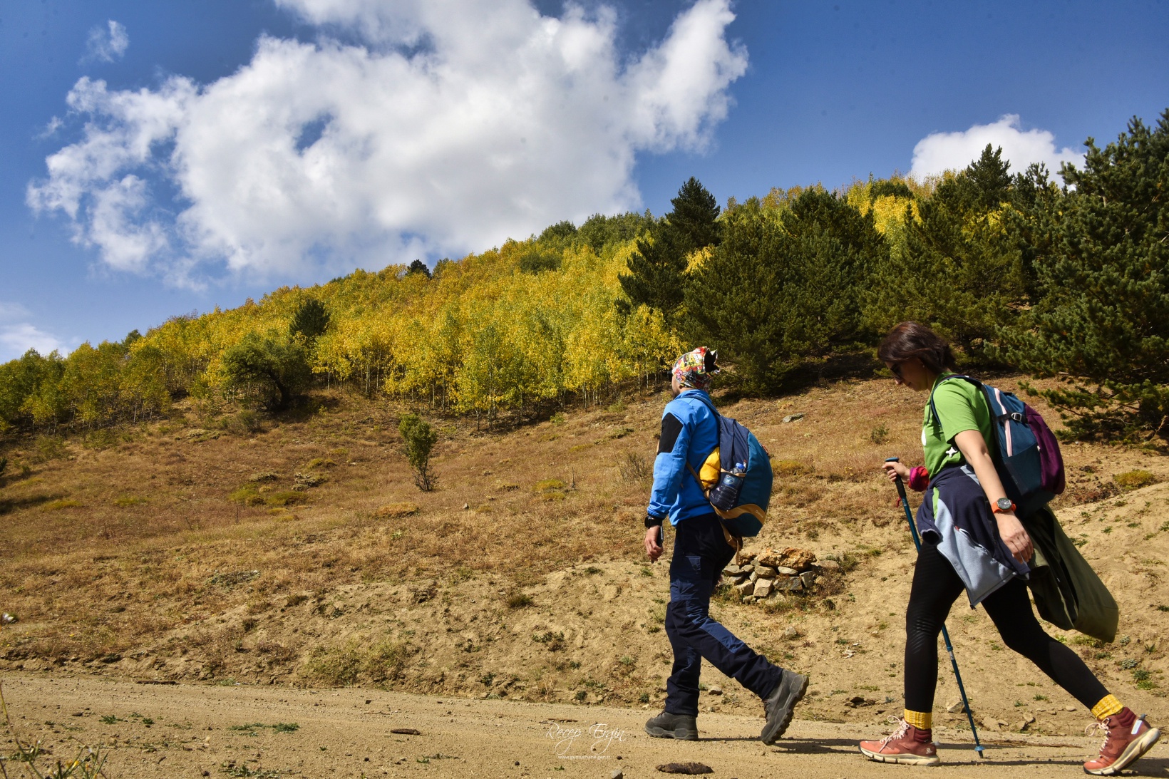 Sonbaharın büyüleyici renkleri Gümüşhane'yi sardı 71