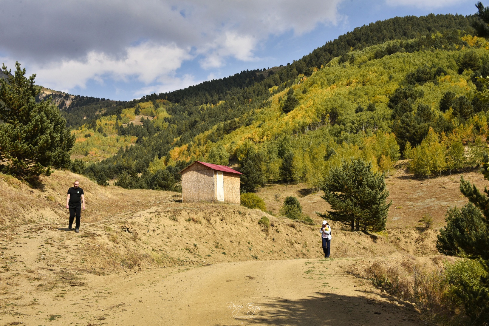 Sonbaharın büyüleyici renkleri Gümüşhane'yi sardı 48