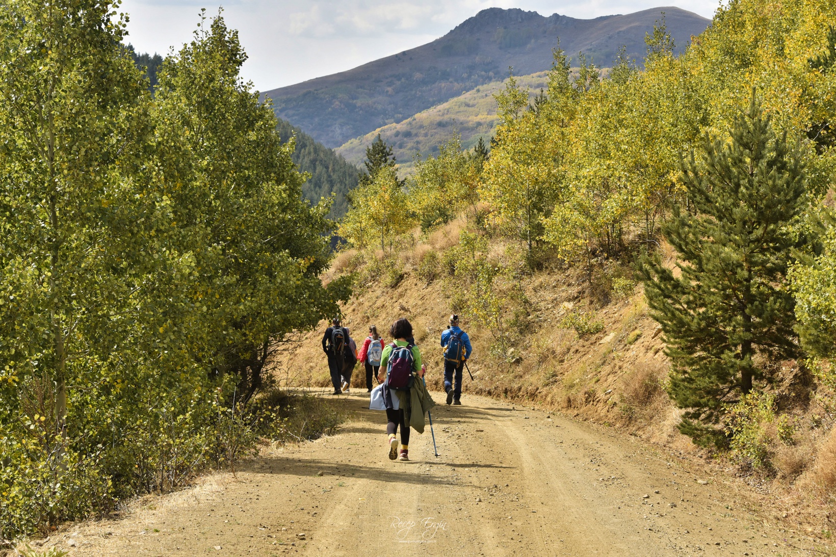 Sonbaharın büyüleyici renkleri Gümüşhane'yi sardı 58